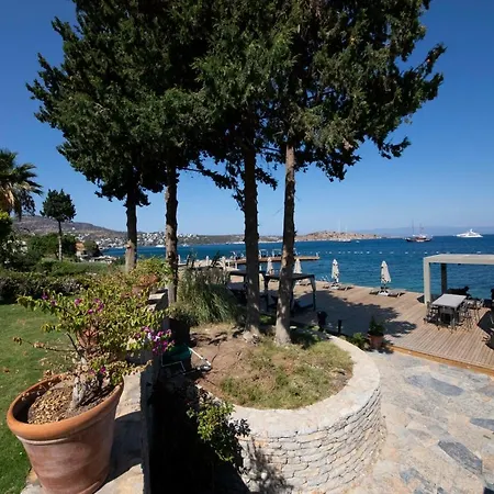Splendid Near Beach In شقة *