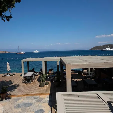Splendid Near Beach In شقة *